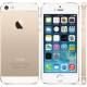 iPhone 5S 16 GB (Gold)